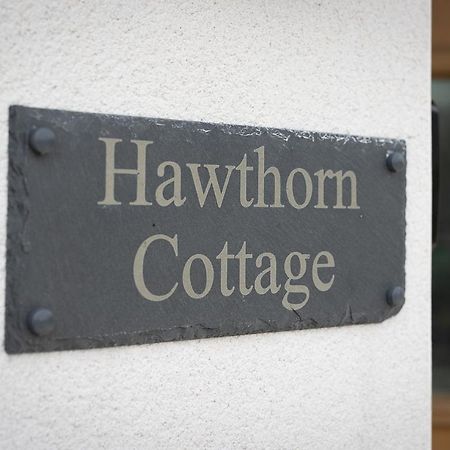 Hawthorn Cottage Tenby Luaran gambar